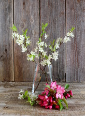 wiosenne kwiaty wiśni w wazonie, rustylakny obrazek © lsiekierski