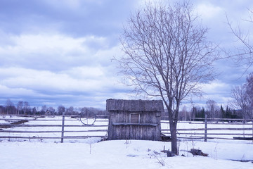 rural landscape in winter