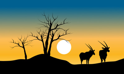 Fototapeta na wymiar Silhouette of dry tree and antelope