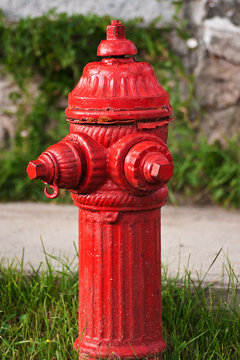 Fire Hydrant with Lichen 