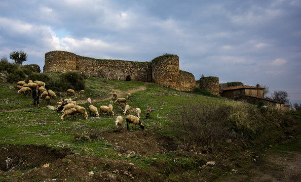castles and sheep,