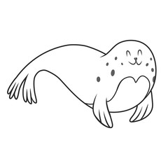 fur seal