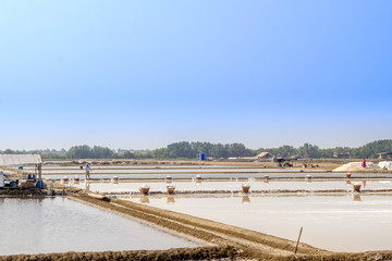 salt farming