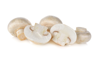 Champignon mushroom on white background