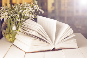 flower on the book in front of the window in the morning. Copy space for text.