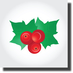 Christmas Flower holly berry