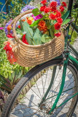 Fototapeta na wymiar bicycle with flower basket