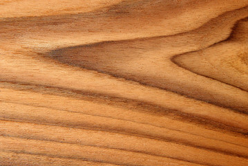 Closeup of wood texture