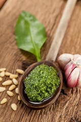 Pesto aus Bärlauch, Knoblauch, Pinnienkernen, Olivenöl und Parmesan