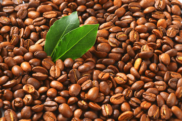 Roasted coffee beans