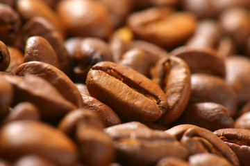 Roasted coffee beans