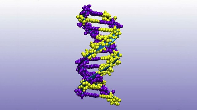 DNA molecule