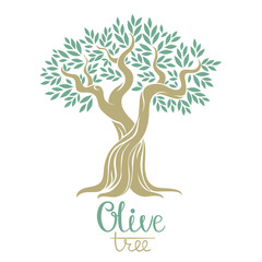 Olive tree vector illustration. Olive oil. Vector olive tree for label, package. Hand drawn olive tree vector illustration.