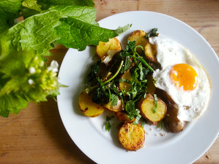Bratkartoffeln mit Spiegelei und Wildkräutern, Verwendung von Wildkräutern im Frühjahr, Knoblauchrauke, Sauerampfer, Giersch und Brennnessel
