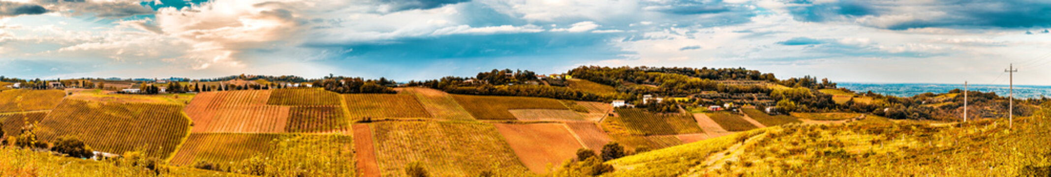 Agriculture and nature in Romagna hills