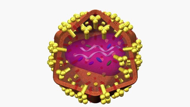 HIV virus animation