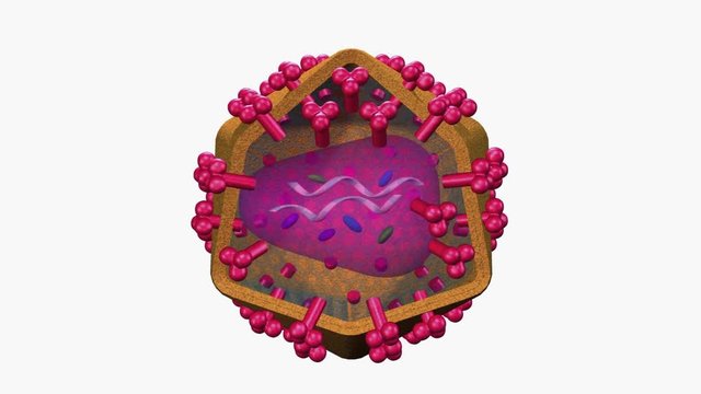 HIV virus animation