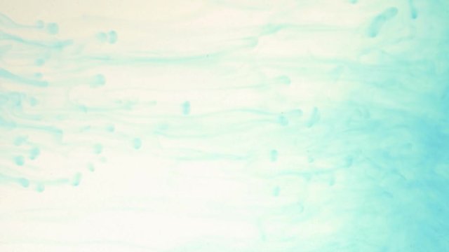 Ink squirting in water