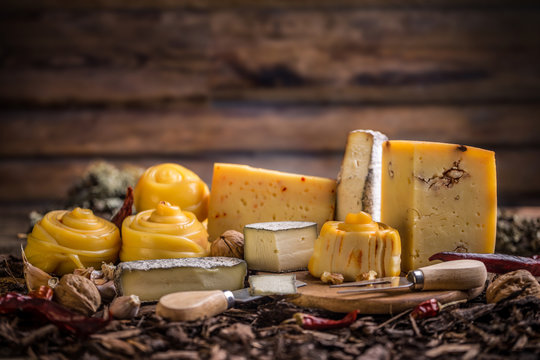 Various types of cheese