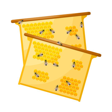 Worker bees on honey comb on a white background. Objects apiary.