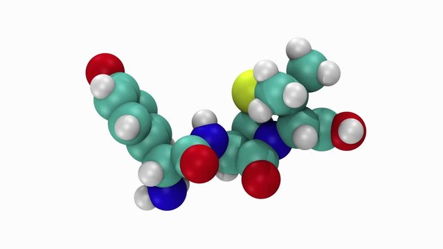 Animation of penicillin antibiotic