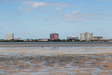Buildings Across from Mud Flats
