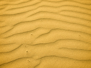 Sand dunes of desert Thar in Rajasthan