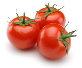 Tomato group