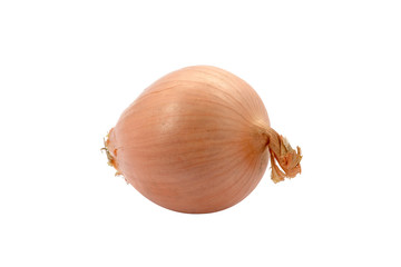 Ripe onion on a white background