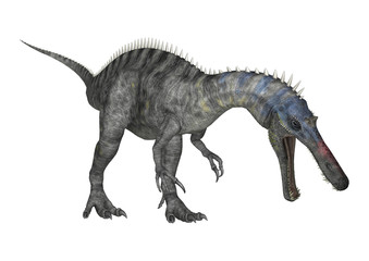 3D Rendering Dinosaur Suchomimus on White