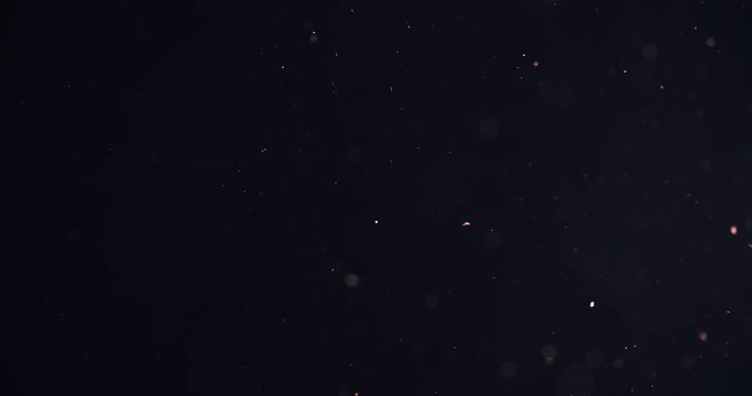 orange particles like spark slowly float in air, 4k prores