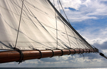 Sail of an old sailing ship as background