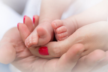 Fototapeta na wymiar Mother holding tiny foot of newborn baby, close-up 