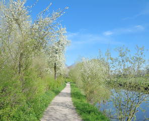 Frühling an der Niersaue in Wachtendonk am Niederrhein im Schwalm-Nette Naturpark,Rheinland,NRW,Deutschland
