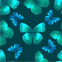 Fototapeta na wymiar butterfly 05 green