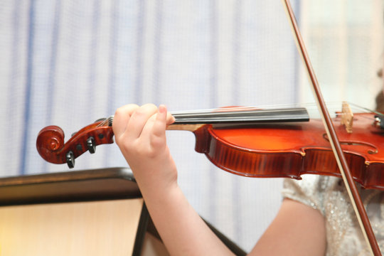 violin