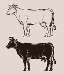 dairy cow vector logo. farm, livestock, milk icon