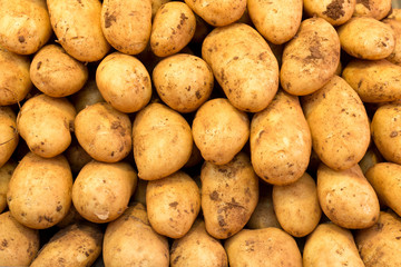 Hintergrund aus reifen, sauberen Kartoffeln