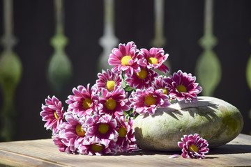 zarte Chrysanthemen Blüten 