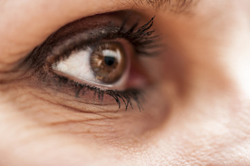 Close-up of female eye with fashion light natural make-up.