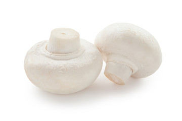 Champignon mushroom isolated on white background