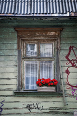 Close-up of window decorated with red flowers