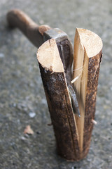 Axe in log