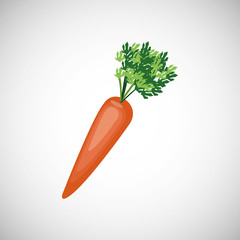 Healthy food design. organic food. natural product