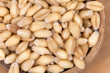Closeup macro wheat grains background agriculture