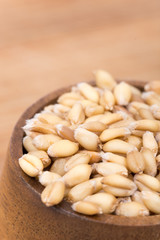 Closeup macro wheat grains background agriculture