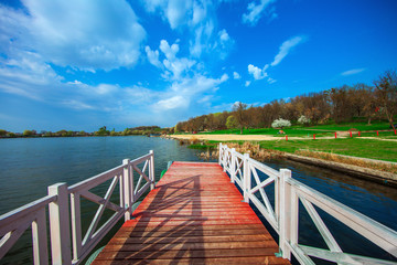 Fototapeta premium Picturesque forest and the river