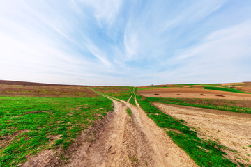 Beatiful morning green field with blue heaven