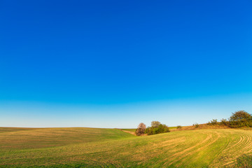 Green Field and Beautiful Sunset