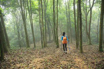 young woman hiker hiking in spring foggy forest trail